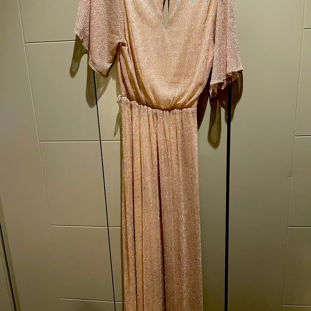 COPY - Brand new- never worn- Baltic Born dress
